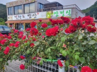 전라도밥상