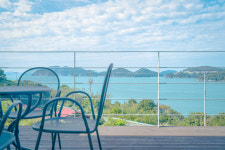 COVE541
