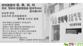 펫피아동물병원