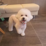 보라멍