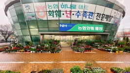 옥이랑꽃이랑