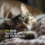 2117수학학원 송도 이리옴프라자 초등 과고 입시 정시