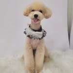 토리멍