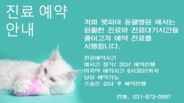 펫피아동물병원