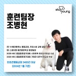 스테이영 애견유치원 강아지유치원 애견호텔