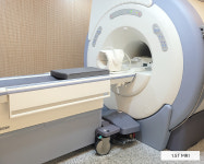 24시 온동물의료센터