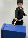 명륜 강호합기도