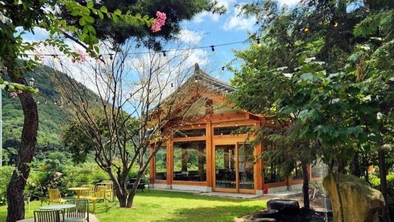 아떼에르 인 예다숲