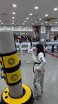 한국체대힐캐슬태권도