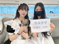 파라다이스펫 강아지분양 고양이분양 대전 본점