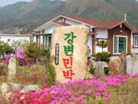 주천강 강변민박