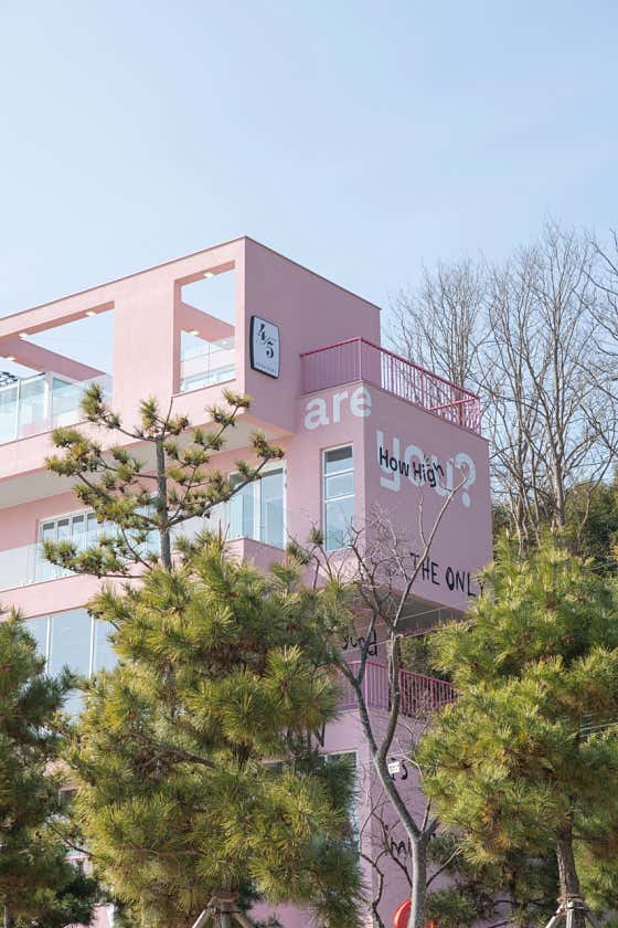 하우하이 사진
