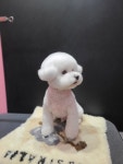 루이스독
