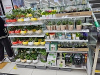 다이소 평택소사벌지구점