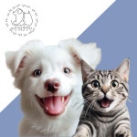 바른 정 동물병원 원주 단구점