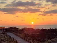 월령이드레