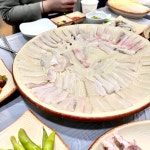 자연산 창파횟집