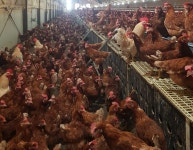 아름다운농원 농업회사법인