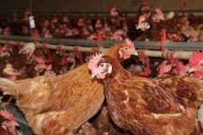 아름다운농원 농업회사법인