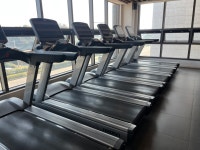 마인드휘트니스 영어교육도시점