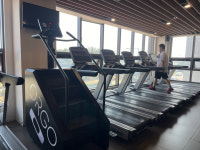 마인드휘트니스 영어교육도시점