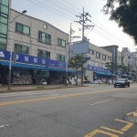 대일침장