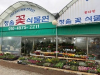 청솔꽃식물원