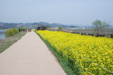 단다도예펜션