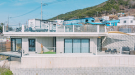 스테이 단