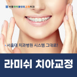 서울라미플란트치과교정과치과의원