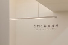 리더스동물병원