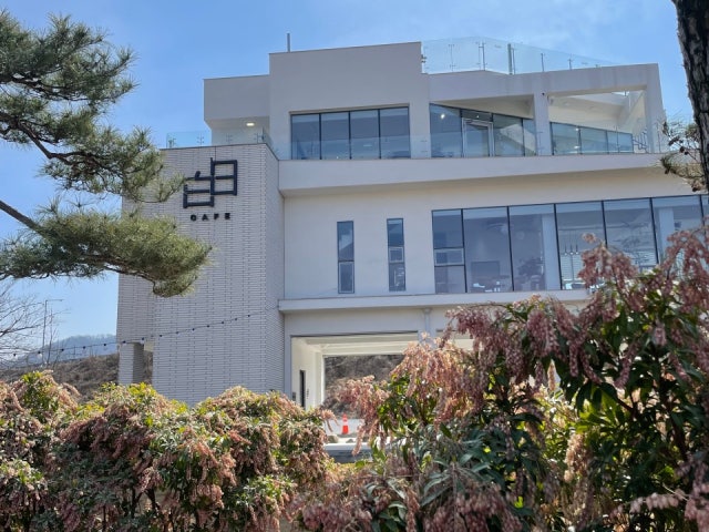카페 백일