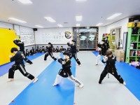 무림합기도
