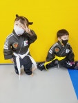 무림합기도