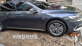 미래칼라덴트