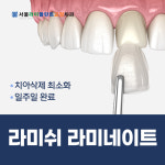 서울라미플란트치과교정과치과의원