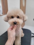 러키몽