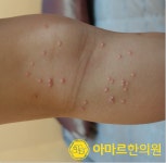 아마르한의원 하단점