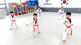 효민태권도장
