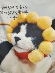 더깨비닭강정 운정점 | 모모닭강정 운정점