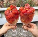 서교주담 망원