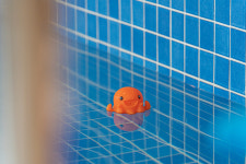 도안 풀빌라&키즈호텔