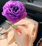 하트니플라워아트