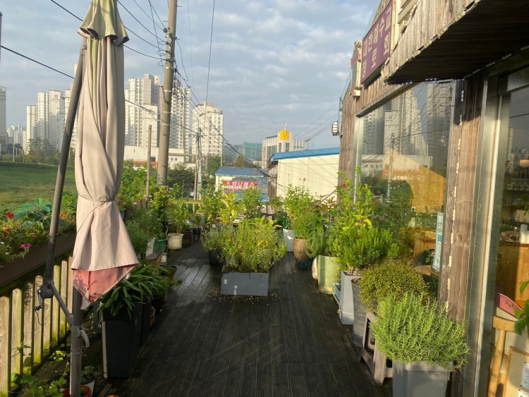 큰샘교회 사진 4