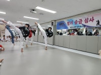 경희대 태권도 스쿨