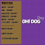 오독안심분양센터 강아지분양 고양이분양 인천점