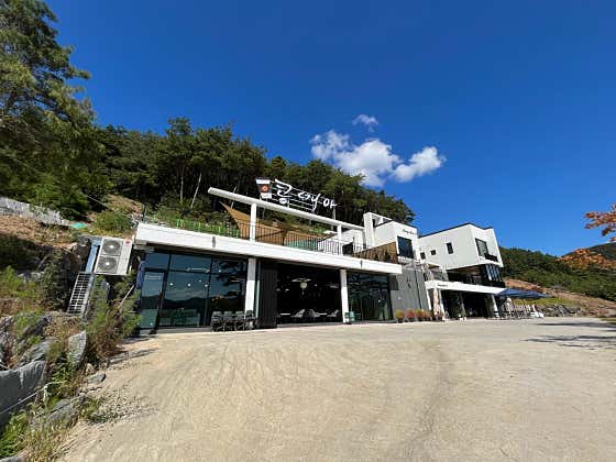 콩매아 사진