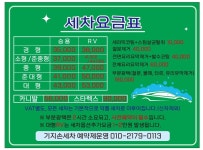 기지스팀손세차