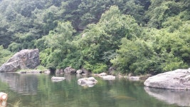 단장알프스펜션&글램핑