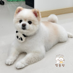 멍블랑 반려견미용실